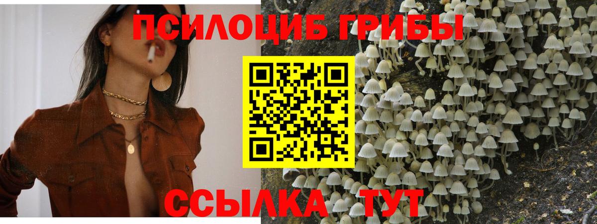 Галлюциногенные грибы прущие грибы  Вход с VPN  Фролово  Галлюциногенные грибы Cubensis 
